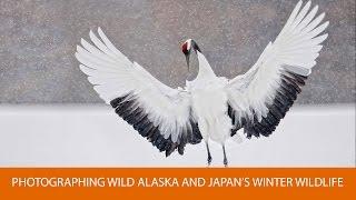 Photographing Wild Alaska and Japan’s Winter Wildlife, with Robert O’Toole