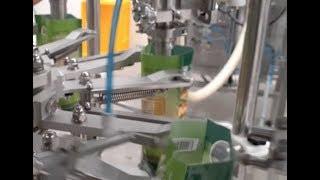 Linapack rotary pouch filling machine