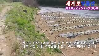 호저면옥산리 땅 1200평 2억4천 세계로부동산