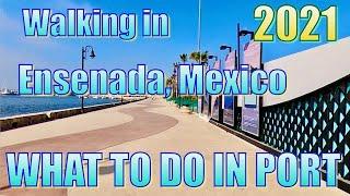 Walking in Ensenada, Mexico 2021 - What to Do on Your Day in Port