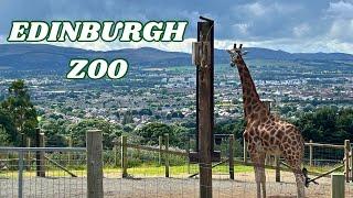 EDINBURGH VLOG - WE VISIT THE ZOO!