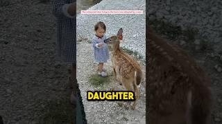 Adorable baby deer#shorts #animal #animalrescue #animalstories #cuteanimals #cute