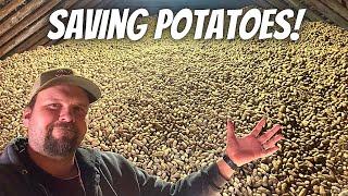 Our Potato Storage DISASTER and How We Fixed It