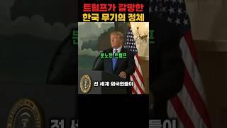 미국도 탐낸 한국의 벙커 파괴 최종병기