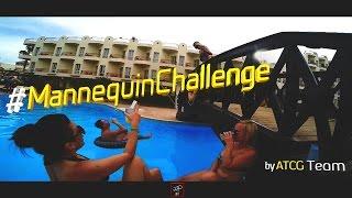 #MannequinChallenge by ATCG Mafia
