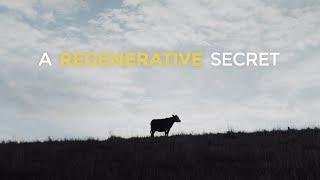 A Regenerative Secret - Kiss The Ground