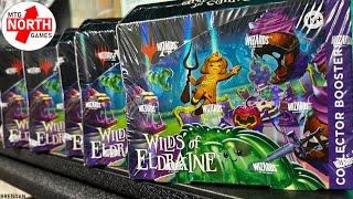 Opening a Collector Booster Case of Wilds of Eldraine! Prerelease Weekend Sept 1