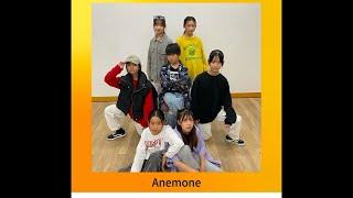 Anemone（NEXTAGE HIROSHIMA）