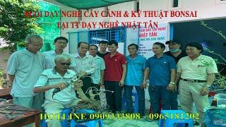 DẠY NGHỀ CÂY CẢNH TẠO DÁNG BONSAI TẠI TT DẠY NGHỀ NHẬT TÂN