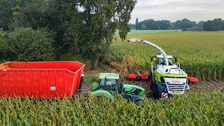 Mais 2024 / Claas Jaguar 970 / Peters Haps / Maize silage