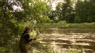 Warrior Barbel S - Fox Specialist TV