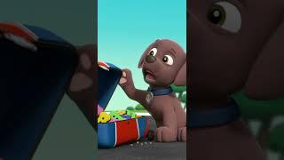 Zuma burps from having too much pup treat - Paw patrol