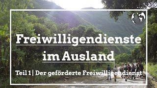 Freiwilligendienste im Ausland | Freiwilligenarbeit.de