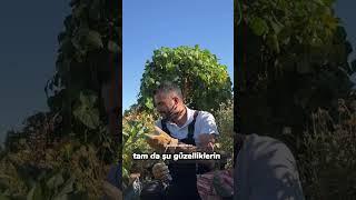 Doğal gübreler arasında en çok azot barındıran bedava gübre inanılmaz bir bilgi.