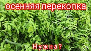 Осенняя перекопка почвы, нужна или нет, на живом примере!