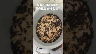 깜박하고 창고에 둔 밀웜 백마리.. 한달 뒤  #shorts