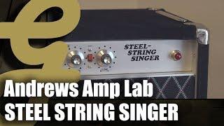 Steel String Singer #002 by Andrews Amp Lab