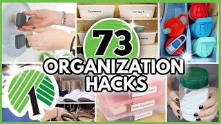 73+ Dollar Tree Organization Hacks From a Pro (Get your house organized FAST!!!)