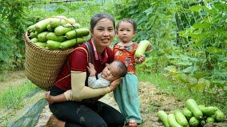 Harvest the gourds and bring them to the market to sell - cook with the children from the gourds