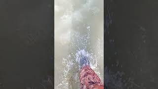 #fishing #рыбалка #рыболовная #fish #рыбалкавидео #озеро #рыба #carpfishing #carp #ловим
