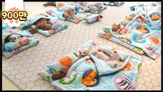 Doggies Got A NEW Summer Blanky To Enjoy Nap Time  *In dog Kindergarten Where Bogum Park Attends*