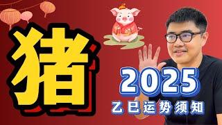 冲太岁也可以是好事？今年需要高度觉察的"猪角"登场 | 2025乙巳年运势——【猪】Pig｜蛇年生肖运程 | 超详细完整解析