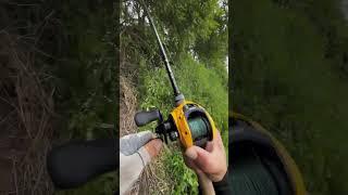 fish=1.2kg