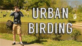 Urban Birding with Angus Pritchard