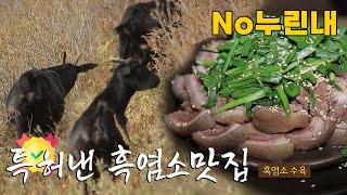 흑염소요리에 특허 낸 화순 흑염소 맛집│테마기헹 길 241227 방송