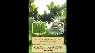 5 July 2023