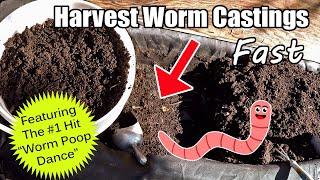 Quick & Easy Way To Harvest / Separate Worm Castings From The Worms