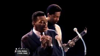 Little Walter - My Babe | American Folk Blues Festival '67 (Colorized)