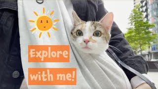 Quick Trip to Greenwich before I Decided to Rather Stay Home - Caturday Cat ASMR