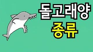 돌고래양 종류 [냥코대전쟁]