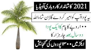 Palm bussines in pakistan & india