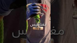 جربنا الصيد باقوى مغناطيس في العالم         #magnetfishing #kajoo00oo #fyp