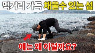 싱싱한 해산물을 냉장고 가득 채울수 있는 섬, 1박2일 낚시여행 / 통영 욕지도