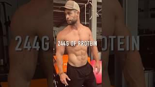 244g PROTEIN DIET