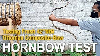 Testing New Composite Bow (Hornbow)