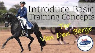 How to introduce basic training concepts to young Dressage horses with Tor Van Den Berge