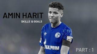 Skills and goals of Moroccan talent , Amin Harit 