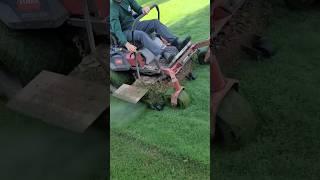 Love This Lawn Mower Attachment!