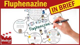 Fluphenazine (Prolixin): What is Fluphenazine Decanoate? Uses, Dosage, Side Effects & Precautions