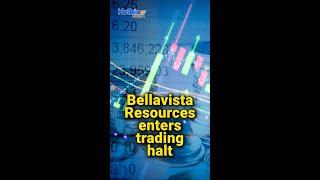 Bellavista Resources enters trading halt #shortsvideo #bvr #basemetals #kalkinemedia