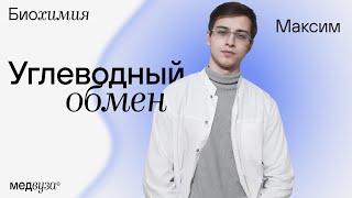 Углеводный обмен | Биохимия