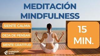 MEDITACION para aliviar estres y ansiedad - guiada | equilibrio y paz mental, calmar tu mente