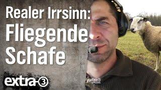 Realer Irrsinn: Schaftransport im Flugzeug  | extra 3 | NDR