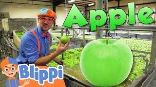 Learning Healthy Eating For Kids With Blippi At The Apple Factory  | Educational Videos For Toddlers