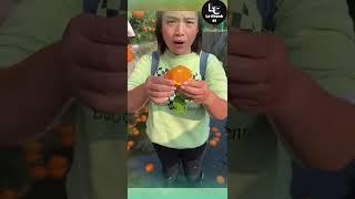 Farm fresh ninja fruit cutting #48 | Ly Chynh St  #shorts