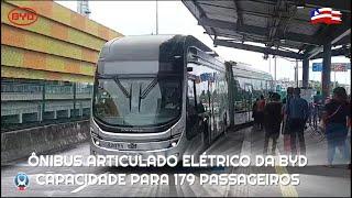 O GIGANTE DA BYD ELÉTRICO ARTICULADO CHEGA EM SALVADOR ,veja